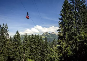 Hallers Sommer Bergbahnen Gondel