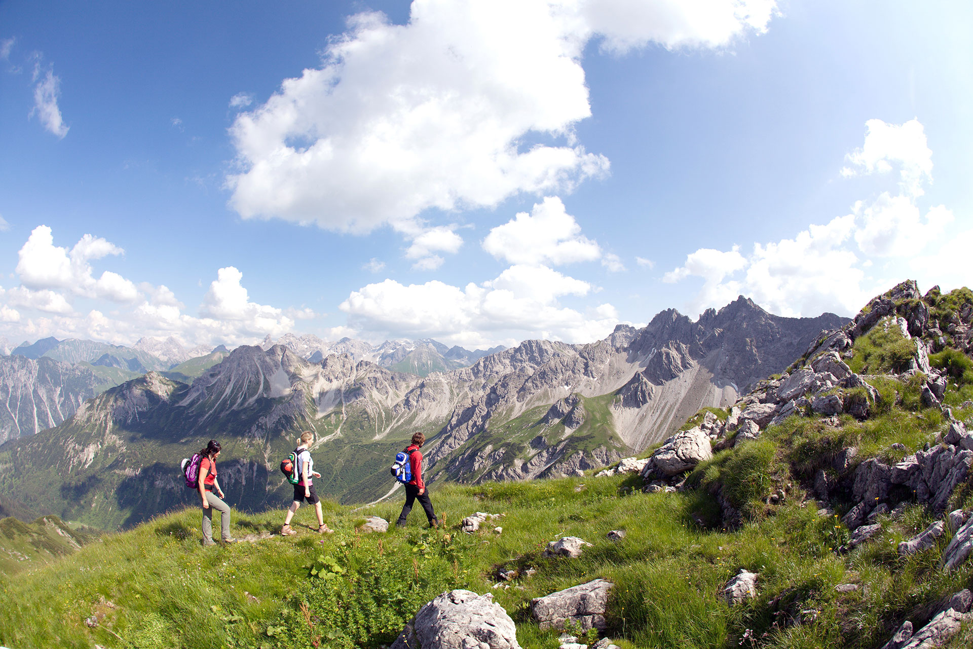 Mountainbike, ein Dorado für jeden Anspruch